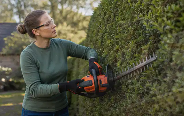 Person schneidet eine dichte Gartenhecke mit Schutzbrille und sicherem Stand; Thema Astscheren, Schwerpunkt Fehlerhilfe; Kontrolle.