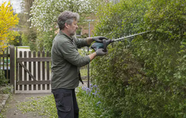 Person schneidet eine Gartenhecke mit einem motorisierten Gartengerät; Thema Astscheren, Schwerpunkt Fehlerhilfe; Praxisalltag.