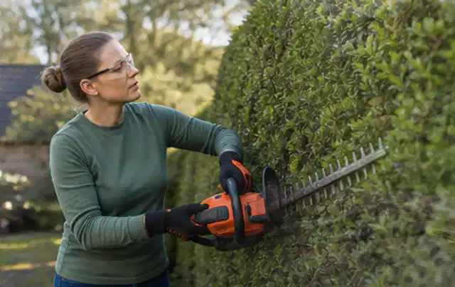Person schneidet eine dichte Gartenhecke mit Schutzbrille und sicherem Stand; Thema Astscheren, Schwerpunkt Gärten mit großer Fläche; Ergebnis.