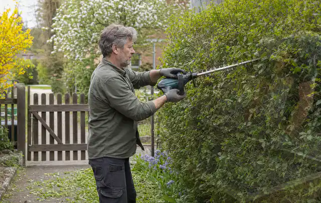 Person schneidet eine Gartenhecke mit einem motorisierten Gartengerät; Thema Astscheren, Schwerpunkt Gärten mit großer Fläche; Praxisalltag.