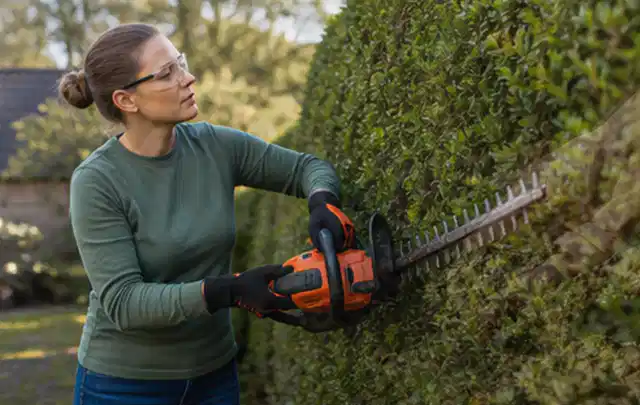 Person schneidet eine dichte Gartenhecke mit Schutzbrille und sicherem Stand; Thema Astscheren, Schwerpunkt Gärten mit kleiner Fläche; Ausgangslage.