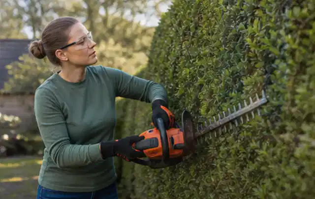 Person schneidet eine dichte Gartenhecke mit Schutzbrille und sicherem Stand; Thema Astscheren, Schwerpunkt Kaufberatung; Umsetzung.