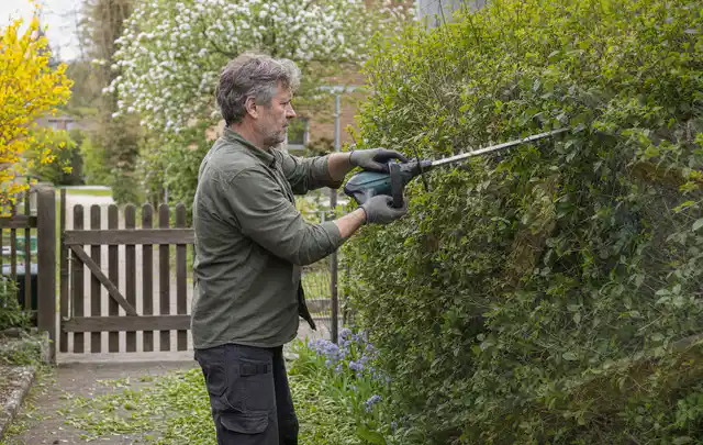 Person schneidet eine Gartenhecke mit einem motorisierten Gartengerät; Thema Astscheren, Schwerpunkt Kaufberatung; Praxisalltag.