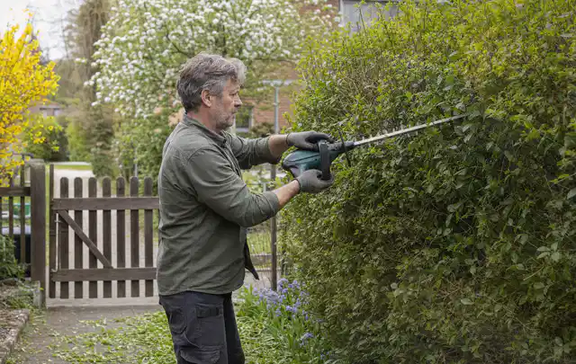 Person schneidet eine Gartenhecke mit einem motorisierten Gartengerät; Thema Astscheren, Schwerpunkt Nachhaltigkeit; Kontrolle.