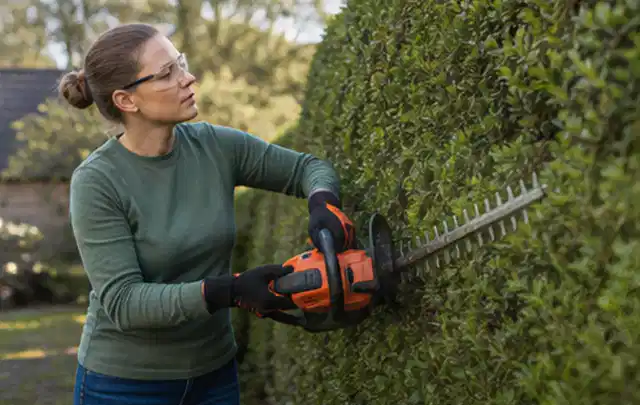 Person schneidet eine dichte Gartenhecke mit Schutzbrille und sicherem Stand; Thema Astscheren, Schwerpunkt Reinigung; Ergebnis.
