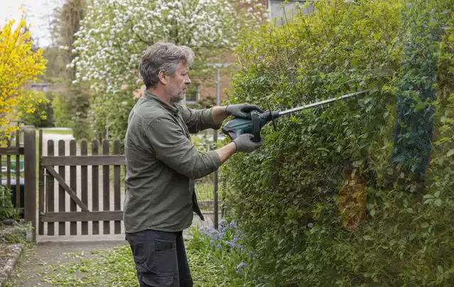 Person schneidet eine Gartenhecke mit einem motorisierten Gartengerät; Thema Astscheren, Schwerpunkt Reinigung; Praxisalltag.