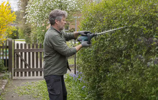 Person schneidet eine Gartenhecke mit einem motorisierten Gartengerät; Thema Astscheren, Schwerpunkt Reparatur; Ausgangslage.