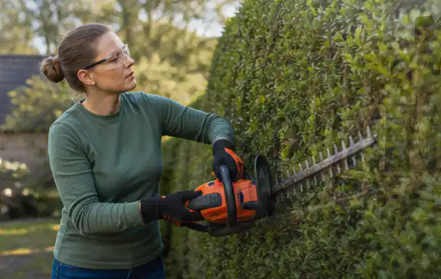 Person schneidet eine dichte Gartenhecke mit Schutzbrille und sicherem Stand; Thema Astscheren, Schwerpunkt Reparatur; Praxisalltag.