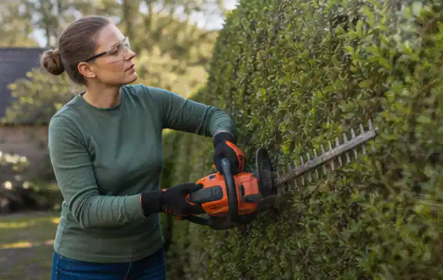 Person schneidet eine dichte Gartenhecke mit Schutzbrille und sicherem Stand; Thema Astscheren, Schwerpunkt Sicherheit; Umsetzung.