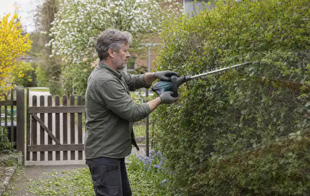 Person schneidet eine Gartenhecke mit einem motorisierten Gartengerät; Thema Astscheren, Schwerpunkt Sicherheit; Praxisalltag.