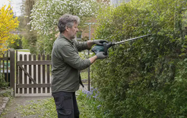 Person schneidet eine Gartenhecke mit einem motorisierten Gartengerät; Thema Astscheren, Schwerpunkt Systemvergleich; Kontrolle.