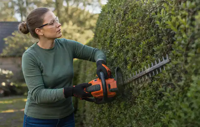 Person schneidet eine dichte Gartenhecke mit Schutzbrille und sicherem Stand; Thema Astscheren, Schwerpunkt Testkriterien; Umsetzung.