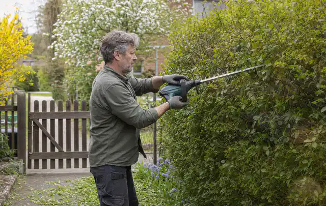 Person schneidet eine Gartenhecke mit einem motorisierten Gartengerät; Thema Astscheren, Schwerpunkt Testkriterien; Ergebnis.
