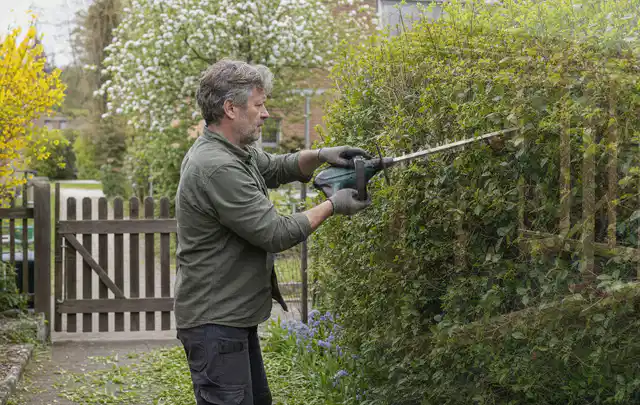 Person schneidet eine Gartenhecke mit einem motorisierten Gartengerät; Thema Astscheren, Schwerpunkt Vergleich; Umsetzung.