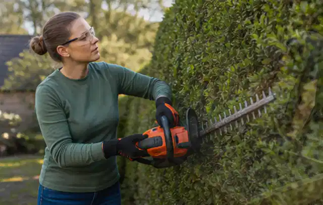 Person schneidet eine dichte Gartenhecke mit Schutzbrille und sicherem Stand; Thema Astscheren, Schwerpunkt Vergleich; Ergebnis.
