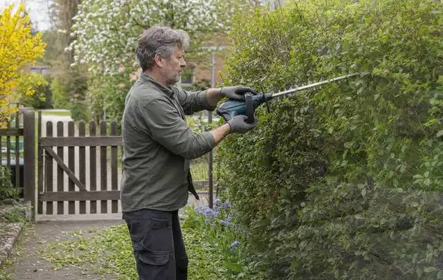 Person schneidet eine Gartenhecke mit einem motorisierten Gartengerät; Thema Astscheren, Schwerpunkt Winterlager; Kontrolle.