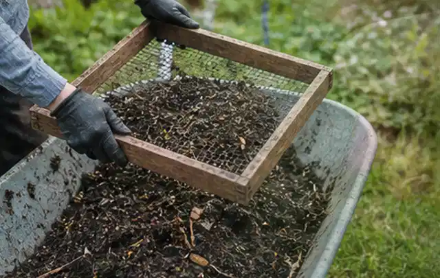 Behandschuhte Hände sieben reifen Kompost über einer Gartenschubkarre; Thema Auberginen, Schwerpunkt Gesundheit; Praxisalltag.