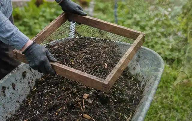 Behandschuhte Hände sieben reifen Kompost über einer Gartenschubkarre; Thema Auberginen, Schwerpunkt Nährstoffe; Ergebnis.