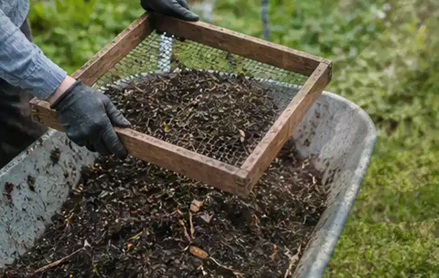 Behandschuhte Hände sieben reifen Kompost über einer Gartenschubkarre; Thema Auberginen, Schwerpunkt Saisonkalender; Praxisalltag.