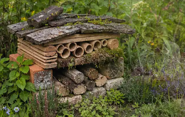 Naturnaher Unterschlupf aus Holz Rinde und Pflanzenstängeln im Garten; Thema Balkon, Schwerpunkt Gärten mit kleiner Fläche; Ergebnis.