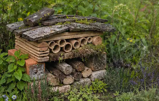 Naturnaher Unterschlupf aus Holz Rinde und Pflanzenstängeln im Garten; Thema Balkon, Schwerpunkt Garten gestalten; Ausgangslage.