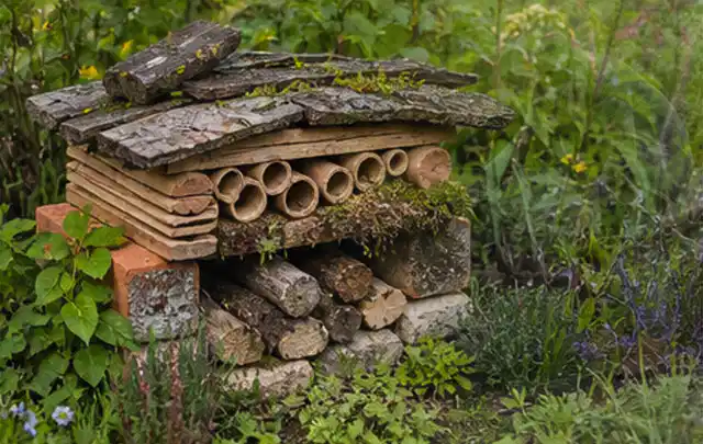 Naturnaher Unterschlupf aus Holz Rinde und Pflanzenstängeln im Garten; Thema Balkon, Schwerpunkt Naturgarten; Praxisalltag.