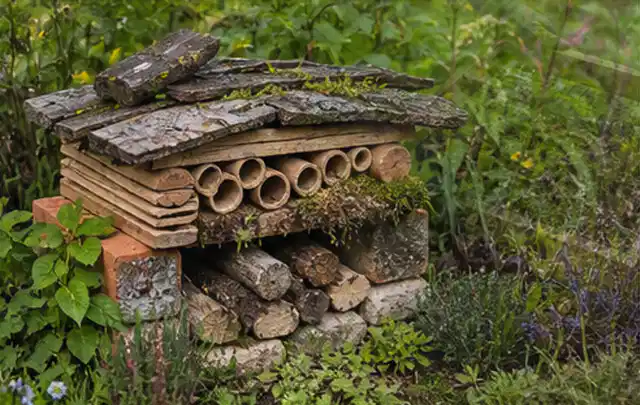 Naturnaher Unterschlupf aus Holz Rinde und Pflanzenstängeln im Garten; Thema Balkon, Schwerpunkt Privatsphäre; Ausgangslage.