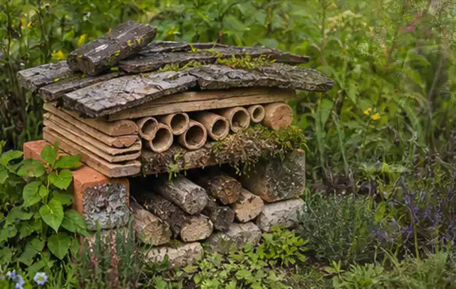Naturnaher Unterschlupf aus Holz Rinde und Pflanzenstängeln im Garten; Thema Bambus Sichtschutz, Schwerpunkt Aufbau; Ergebnis.