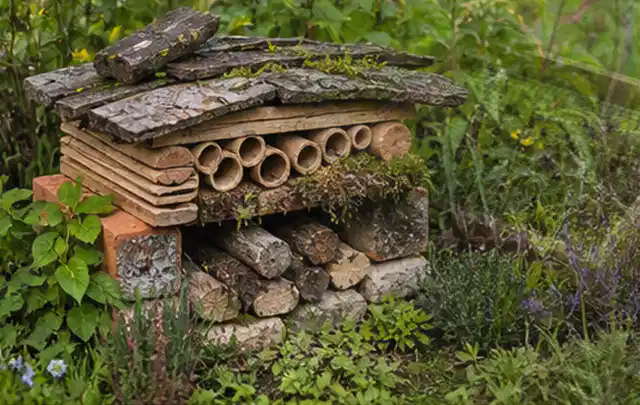 Naturnaher Unterschlupf aus Holz Rinde und Pflanzenstängeln im Garten; Thema Bambus Sichtschutz, Schwerpunkt Checkliste; Ergebnis.