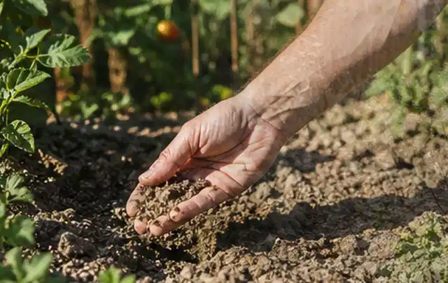 Hand prüft trockene krümelige Gartenerde während einer warmen Sommerphase; Thema Bewässerungscomputer, Schwerpunkt Ersatzteile; Ergebnis.