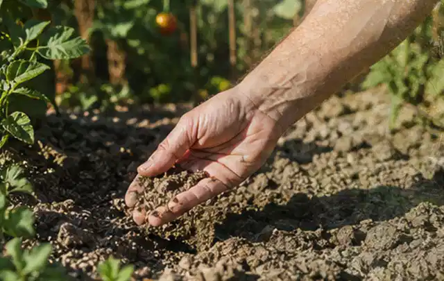 Hand prüft trockene krümelige Gartenerde während einer warmen Sommerphase; Thema Bewässerungscomputer, Schwerpunkt Kaufberatung; Praxisalltag.