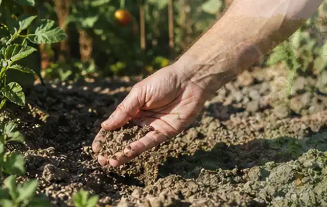 Hand prüft trockene krümelige Gartenerde während einer warmen Sommerphase; Thema Bewässerungscomputer, Schwerpunkt Systemvergleich; Ausgangslage.