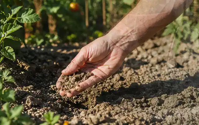 Hand prüft trockene krümelige Gartenerde während einer warmen Sommerphase; Thema Bewässerungspumpen, Schwerpunkt Bestenliste; Umsetzung.