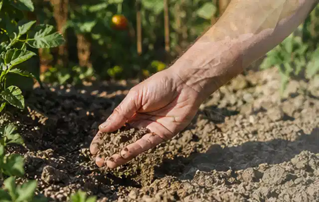 Hand prüft trockene krümelige Gartenerde während einer warmen Sommerphase; Thema Bewässerungspumpen, Schwerpunkt Bewässerung; Ergebnis.