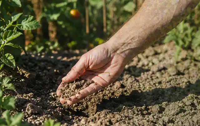 Hand prüft trockene krümelige Gartenerde während einer warmen Sommerphase; Thema Bewässerungspumpen, Schwerpunkt Checkliste; Praxisalltag.