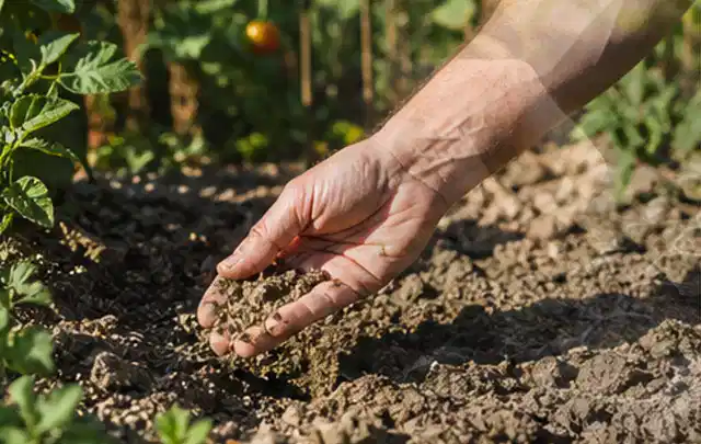 Hand prüft trockene krümelige Gartenerde während einer warmen Sommerphase; Thema Bewässerungspumpen, Schwerpunkt Dimensionierung; Ausgangslage.