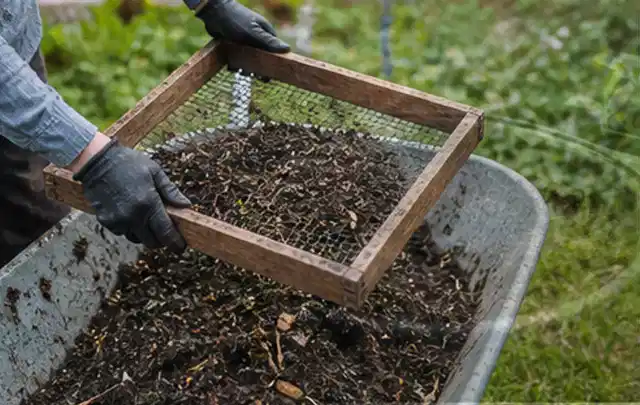 Behandschuhte Hände sieben reifen Kompost über einer Gartenschubkarre; Thema Birnbäume, Schwerpunkt Balkongarten; Ausgangslage.