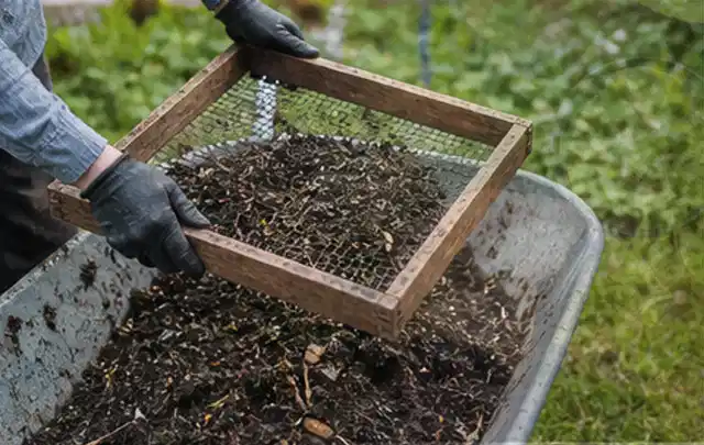 Behandschuhte Hände sieben reifen Kompost über einer Gartenschubkarre; Thema Birnbäume, Schwerpunkt Boden; Praxisalltag.