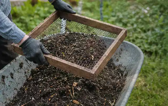 Behandschuhte Hände sieben reifen Kompost über einer Gartenschubkarre; Thema Birnbäume, Schwerpunkt Einsteigerwissen; Praxisalltag.