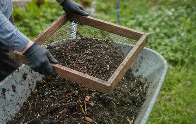 Behandschuhte Hände sieben reifen Kompost über einer Gartenschubkarre; Thema Birnbäume, Schwerpunkt Saisonkalender; Umsetzung.