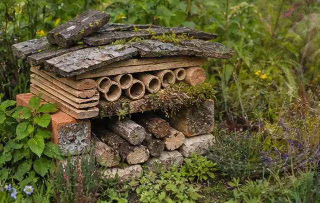 Naturnaher Unterschlupf aus Holz Rinde und Pflanzenstängeln im Garten; Thema Blattläuse, Schwerpunkt Fehlerhilfe; Ausgangslage.