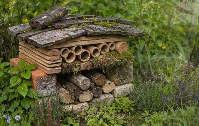 Naturnaher Unterschlupf aus Holz Rinde und Pflanzenstängeln im Garten; Thema Blattläuse, Schwerpunkt Natürliche Bekämpfung; Umsetzung.