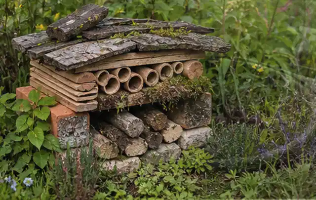 Naturnaher Unterschlupf aus Holz Rinde und Pflanzenstängeln im Garten; Thema Blattläuse, Schwerpunkt Schadbild; Umsetzung.