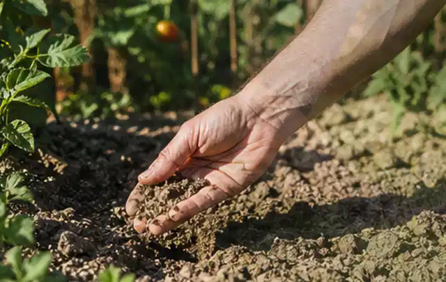 Hand prüft trockene krümelige Gartenerde während einer warmen Sommerphase; Thema Bodenfeuchtesensoren, Schwerpunkt Kosten; Kontrolle.
