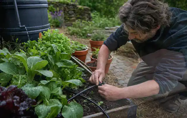 Person stellt die Bewässerung an einem bepflanzten Hochbeet ein; Thema Bodenfeuchtesensoren, Schwerpunkt Sicherheit; Kontrolle.