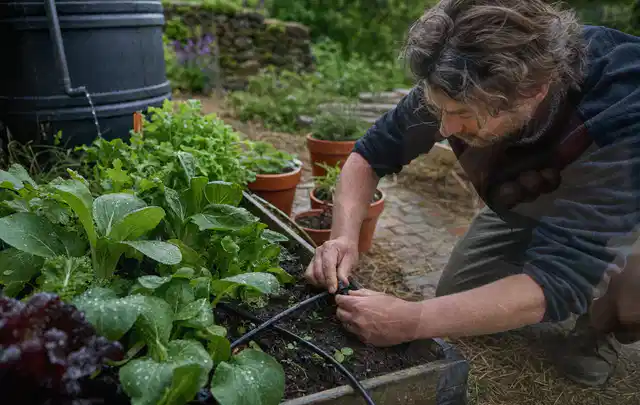Person stellt die Bewässerung an einem bepflanzten Hochbeet ein; Thema Bodenfeuchtesensoren, Schwerpunkt Systemvergleich; Ergebnis.