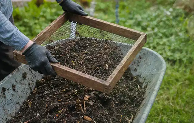 Behandschuhte Hände sieben reifen Kompost über einer Gartenschubkarre; Thema Bohnen, Schwerpunkt Ernteprobleme; Praxisalltag.