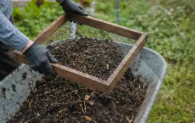 Behandschuhte Hände sieben reifen Kompost über einer Gartenschubkarre; Thema Bohnen, Schwerpunkt Gemüse; Ausgangslage.