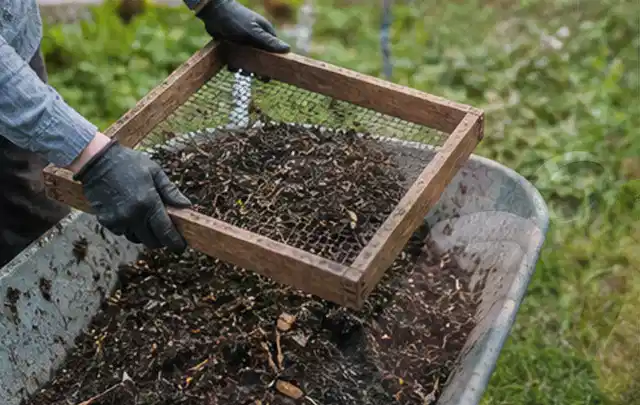 Behandschuhte Hände sieben reifen Kompost über einer Gartenschubkarre; Thema Bohnen, Schwerpunkt Gesundheit; Praxisalltag.