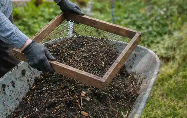 Behandschuhte Hände sieben reifen Kompost über einer Gartenschubkarre; Thema Bohnen, Schwerpunkt Hochbeet; Ergebnis.